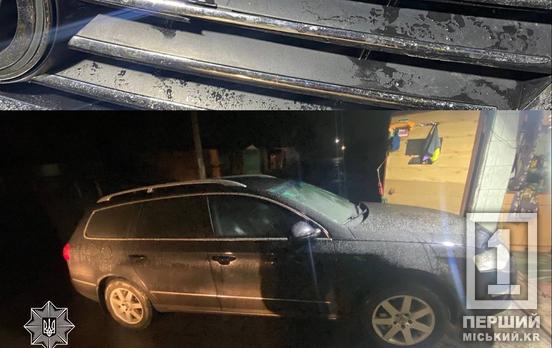 11-летняя девочка попала в больницу: в Кривом Роге задержали водителя, скрывшегося с места ДТП