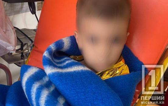 Запобігли біді: у Кривому Розі завдяки пильності громадянки патрульні повернули матері загублену дитину