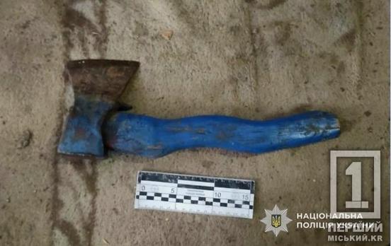 Кілька разів вдарила сокирою по голові: на Дніпропетровщині сварка цивільної пари закінчилася лікарнею