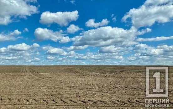 Посуха знищила багато врожаю: аграріям Дніпропетровщини та південних регіонів немає за що сіяти озимі
