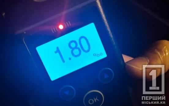 Поздно ночью водил пьяный: в Кривом Роге обнаружили нетрезвого водителя