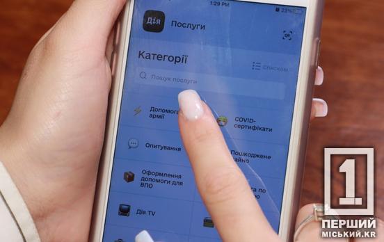 Надо оплатить в течение 24 часов: через «Дію» теперь можно заказать выписку о несудимости с апостилем