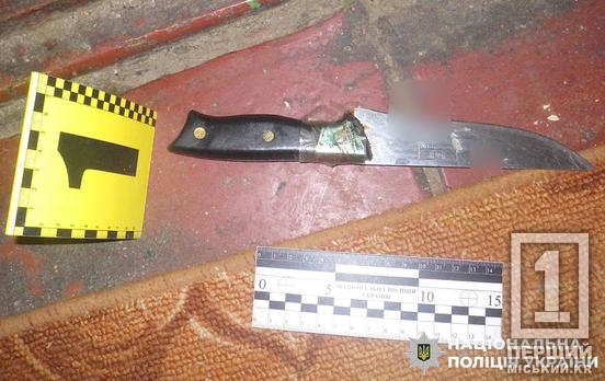 Криваве завершення вечора: на Криворіжжі  59-річний чоловік вдарив ножем власного сина