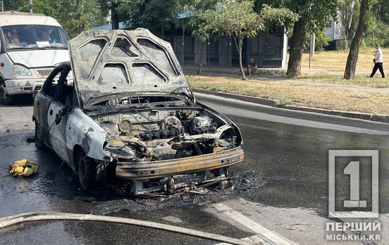 Палав як смолоскип: у Кривому Розі на Миколи Світальського  згорів легковик