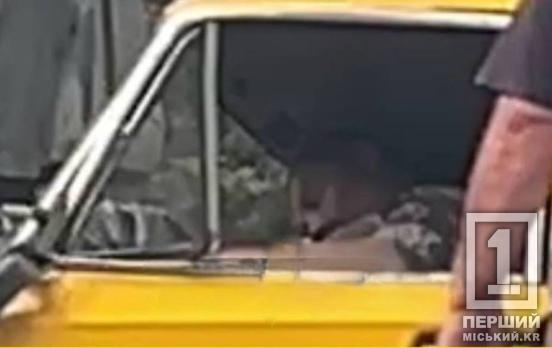 Капот автомобиля разворотило: Кривом Роге произошло смертельное ДТП с ВАЗом