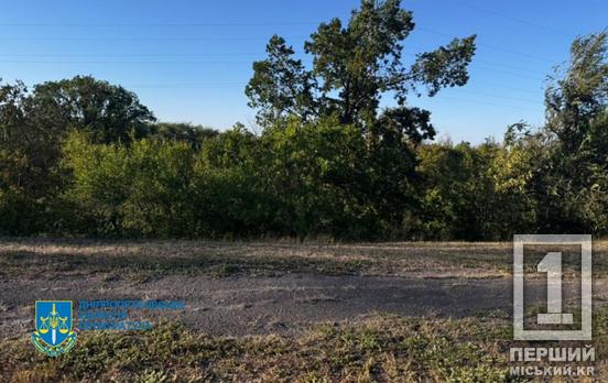 На Дніпропетровщині державі повернули майже 72 га лісових земель, незаконно відданих у комунальну власність