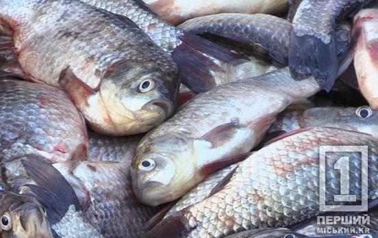 Сподівався залишитися непоміченим: суд покарав рибалку з Кривого Рогу за вилов сітками