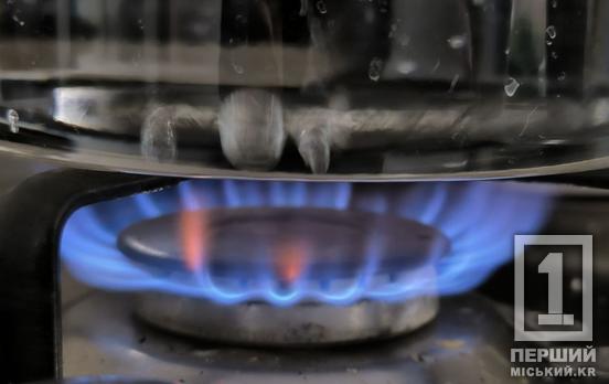 Перевірка газових мереж: у липні в 172 будинках Кривого Рогу пройде планове ТО