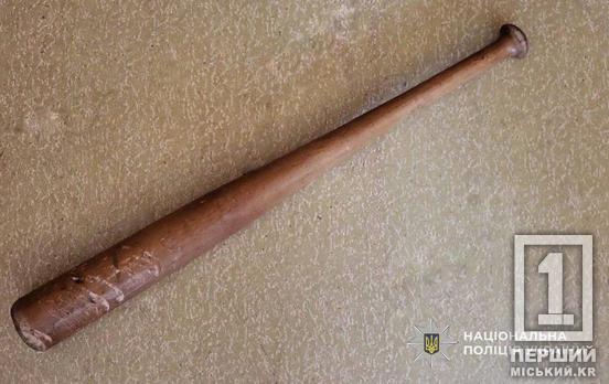 За подібні вчинки відплачують за Кримінальним кодексом: у Кривому Розі молодик розтрощив битою скло чужого авто