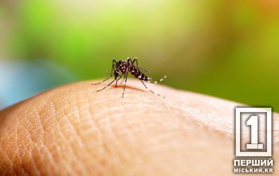 Тропічна загроза у валізі: чим небезпечна гарячка денге