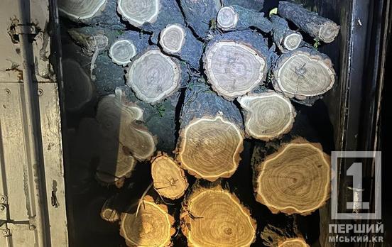 «Пункт призначення», тільки по-криворізьки: на трасі Н-11 поліція зупинила водія з нелегальною деревиною