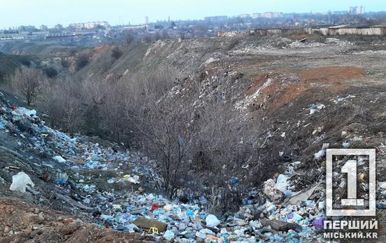 Екологічним порушникам доведеться готувати гаманці: Україна готує значне збільшення еко-штрафів