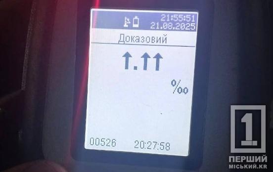 Значення на Драгері зашкалювали: у Кривому Розі зловили нетверезого водія Ford