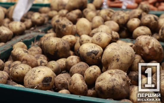 «Доступні кредити 5-7-9%»: Уряд відкрив нові можливості для аграріїв, що будують овоче- та картоплесховища