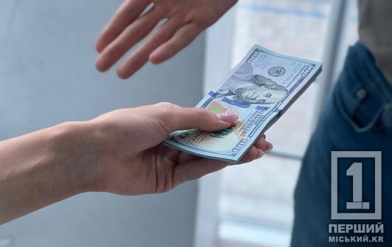 Замість адмінштрафу – відкрита кримінальна справа: у Кривому Розі жінка намагалася підкупити патрульних