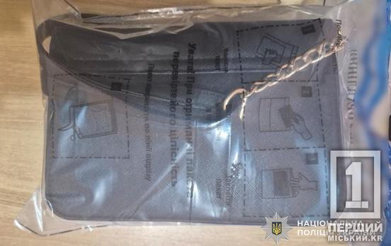 Залякав іграшковою зброєю: на Криворіжжі 15-річний хлопець обікрав дівчину