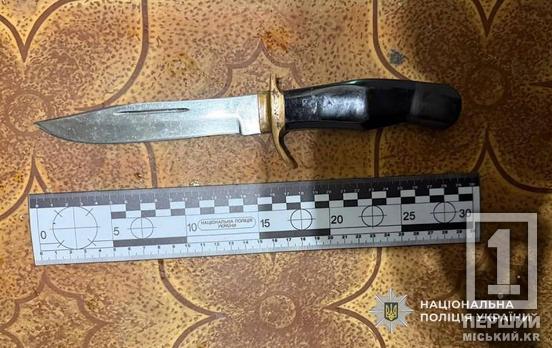 Слово в ссоре — как нож в живот: в Ингулецком районе задержали пожилого нападавшего