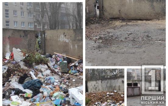 Мы не свиньи, а люди: в Кривом Роге напомнили об ответственности за создание стихийных засоров