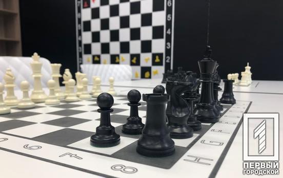 Среди шахматистов Кривого Рога состоялся новогодний блиц-турнир