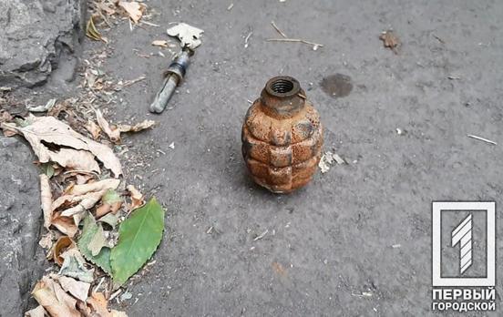 Неподалёку от Кривого Рога нашли противотанковые гранаты образца 1940 года