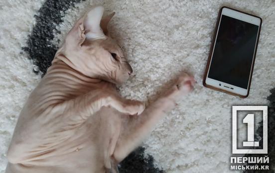 Українці більше не страждатимуть від надокучливих і небезпечних дзвінків: деталі від Мінцифри