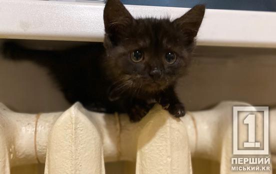 Опалювальний сезон та субсидія: кому варто самостійно подати заяву для отримання