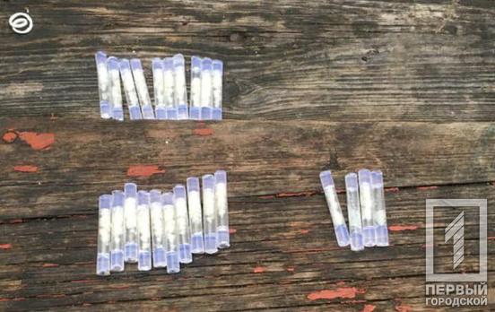 24 трубочки метамфетамина: полицейские Кривого Рога задержали юношу с наркотиками