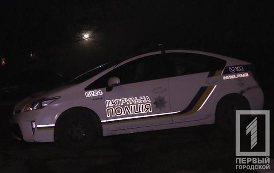 В Кривом Роге два товарища отобрали у прохожего Power Bank, но не смогли далеко уйти от патрульных
