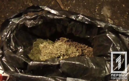 100 граммов марихуаны: полицейские Кривого Рога изъяли наркотики у горожанина