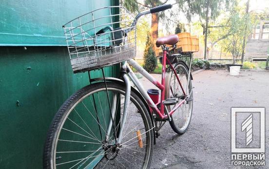 Житель Кривого Рога требует обустроить  велосипедными дорожками все главные дороги города, - петиция