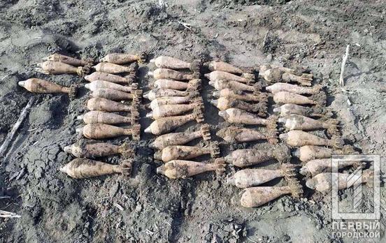 43 мины: под Кривым Рогом поисковики обнаружили схрон с боеприпасами