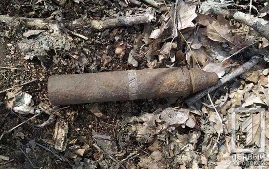 Артснаряд и граната: под Кривым Рогом нашли боеприпасы времён Второй мировой