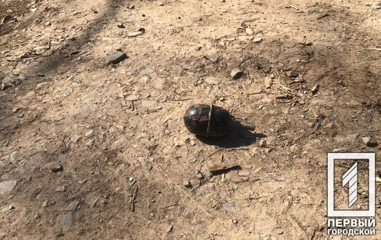 На улице в Кривом Роге нашли гранату без чеки: работают взрывотехники