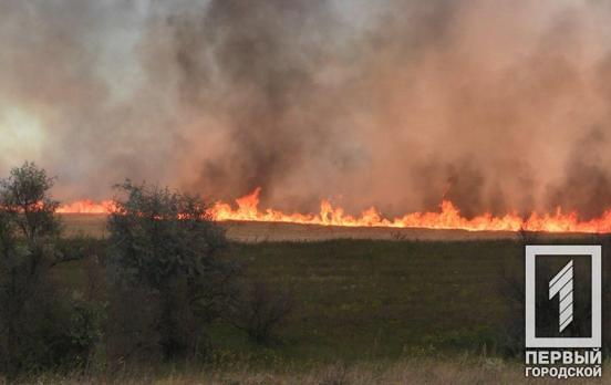 В окрестностях Кривого Рога за день выгорело 16 гектаров лугов и полей