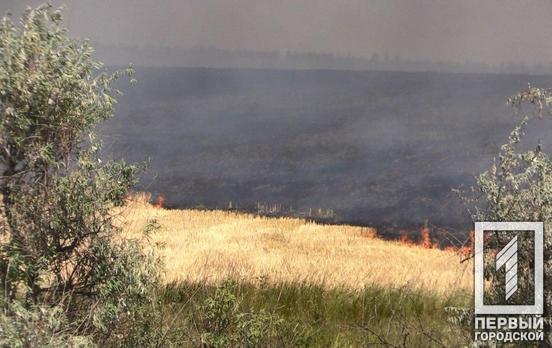 Верховная Рада усилила ответственность за сжигание сухой травы