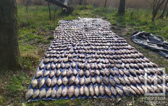 Больше километра сетей и 200 кг рыбы: под Кривым Рогом задержали браконьеров