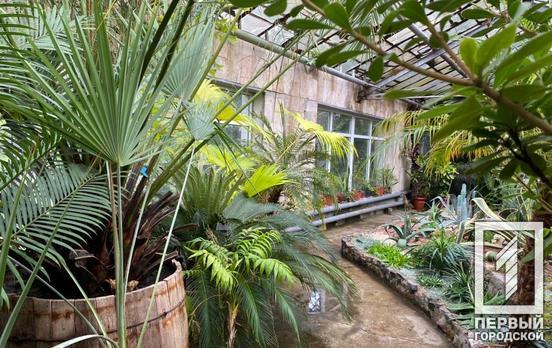 Жители Кривого Рога временно лишатся возможности посещать оранжерею ботанического сада