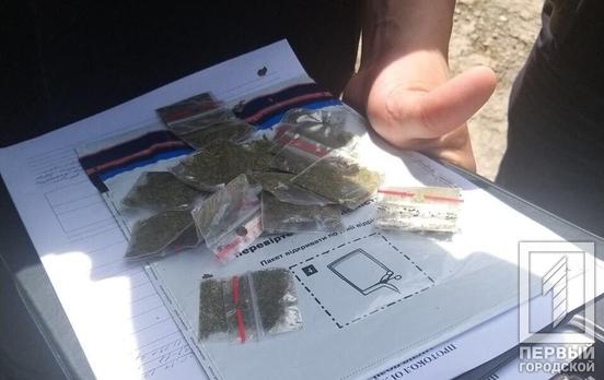 Патрульные в Кривом Роге нашли у парня 15 слип-пакетов с каннабисом