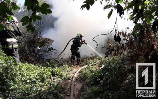 В связи с высокой пожарной опасностью жителям Кривого Рога и области запретили посещать леса