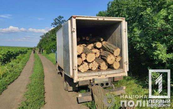 Под Кривым Рогом полицейские нашли грузовик с незаконно вырубленной древесиной