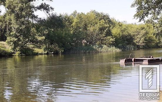 Сброса канализационных стоков в реку на территории парка Мершавцева в Кривом Роге не обнаружили, – экологи