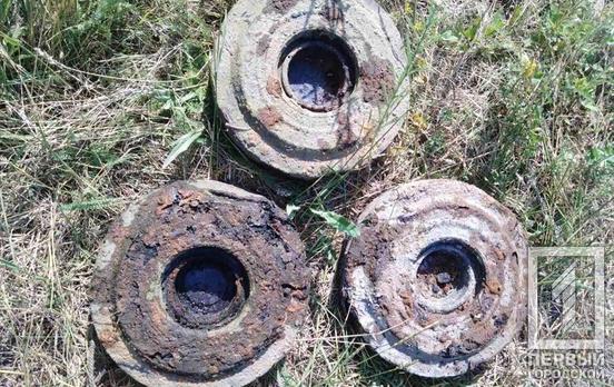 На берегу реки возле дачного кооператива в Кривом Роге нашли три противотанковые мины