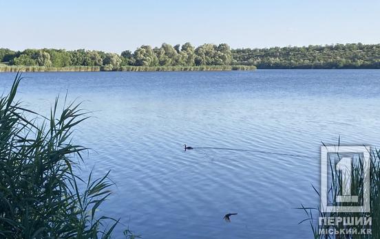 Несчастный случай на воде: под Кривым Рогом гидроцикл протаранил «банан» с подростками