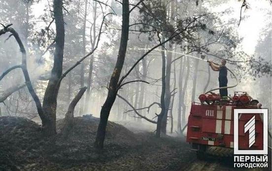 В Кривой Рог вернулись спасатели, которые тушили лесные пожары в Луганской области