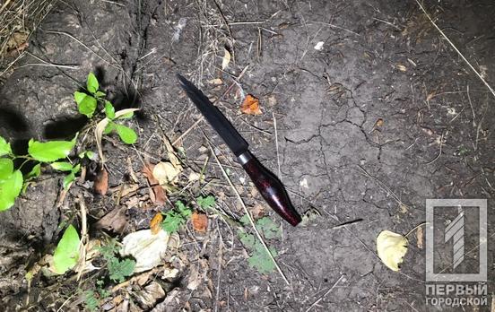 В Кривом Роге пьяная женщина всадила нож в ногу соседке