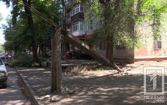 В Кривом Роге рухнувшее дерево сломало столб и оборвало провода