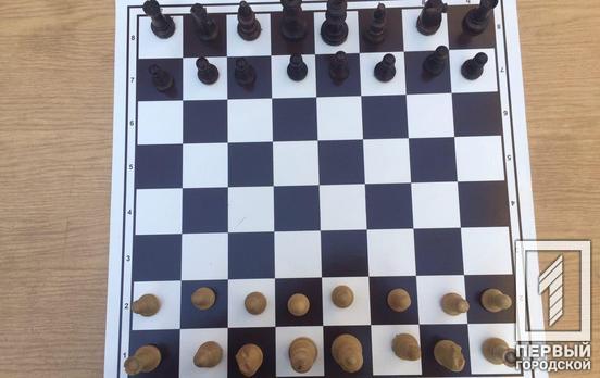 Шахматисты из Кривого Рога заняли призовое место в онлайн турнире