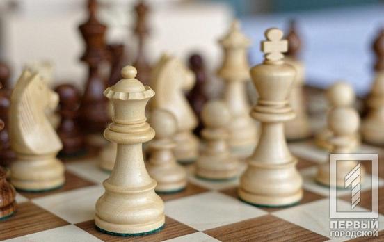 Шахматисты Кривого Рога сразились в режиме онлайн: кто занял первые три места
