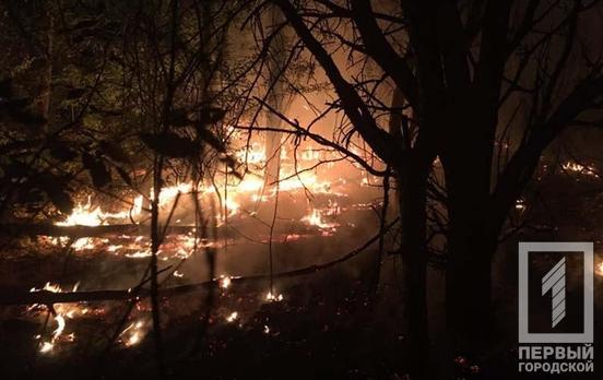 Сгорело восемь гектаров: недалеко от Кривого Рога тушили лесной пожар