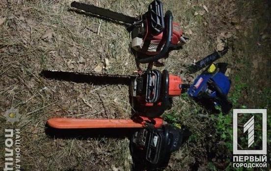 130 кг дуба и акации: в Кривом Роге полицейские задержали двух мужчин, которые незаконно пилили лес
